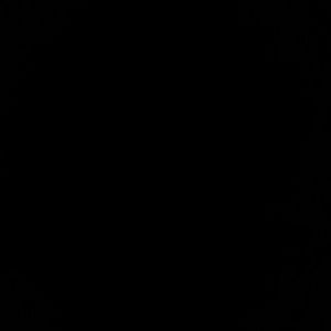 Meet your Posher, Sanaa