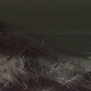 Meet your Posher, Tanesha