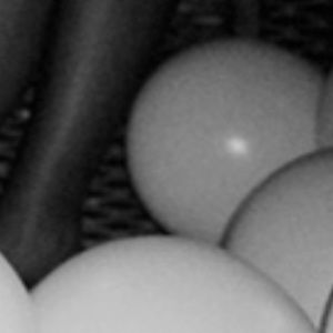 Meet your Posher, Loog