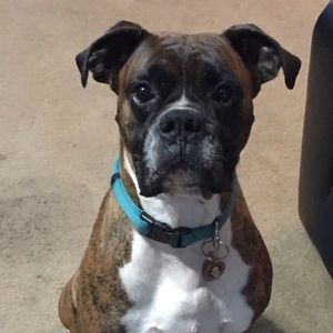 Meet your Posher, Ingrid