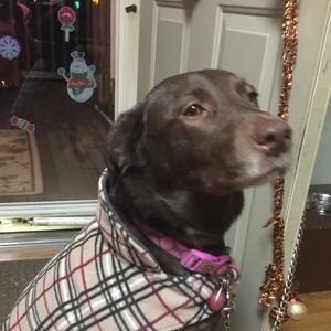 Meet your Posher, Anissa