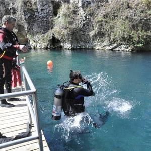 Meet your Posher, Nick