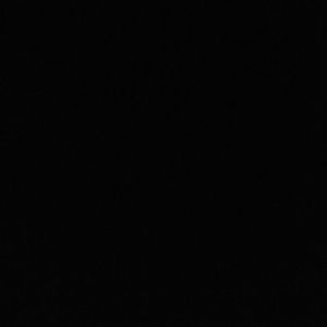 Meet your Posher, Elham