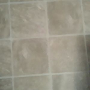 Meet your Posher, Raven