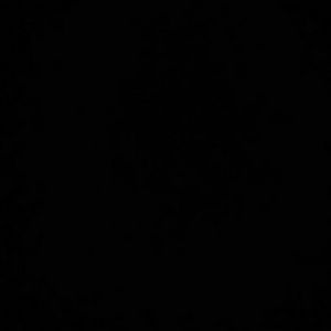 Meet your Posher, Berenice