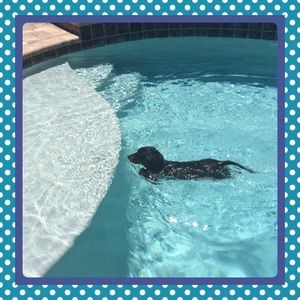 Meet your Posher, Leslie