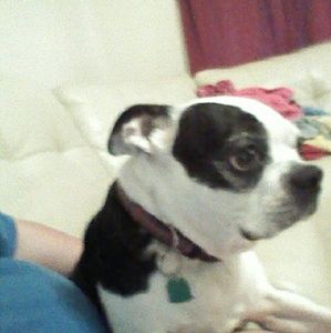 Meet your Posher, Amanda