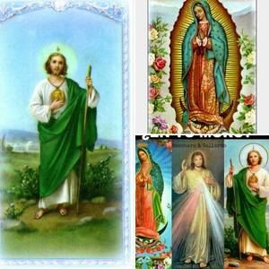 Meet your Posher, Juana