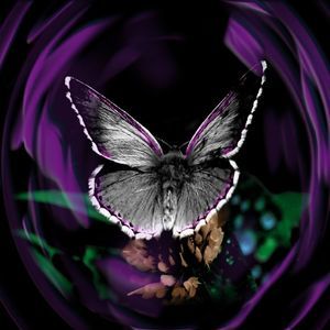 Meet your Posher, Stacy