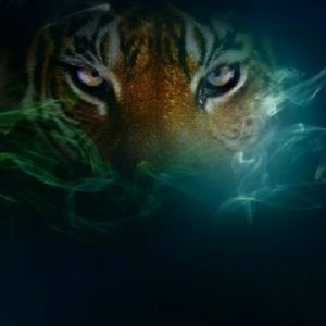 Meet your Posher, Carrie