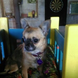 Meet your Posher, Vicky