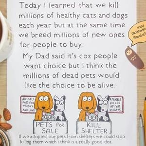 Meet your Posher, Tara lyn