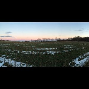 Meet your Posher, Bri