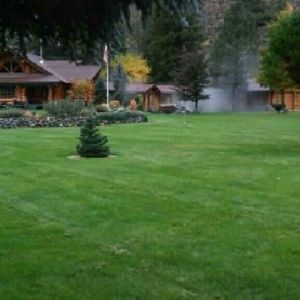 Meet your Posher, Dora