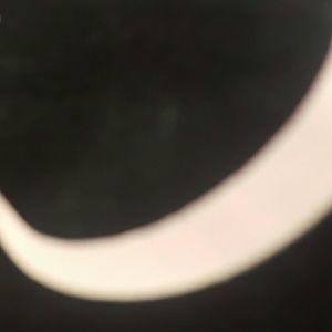 Meet your Posher, Pamela