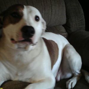 Meet your Posher, Brenda