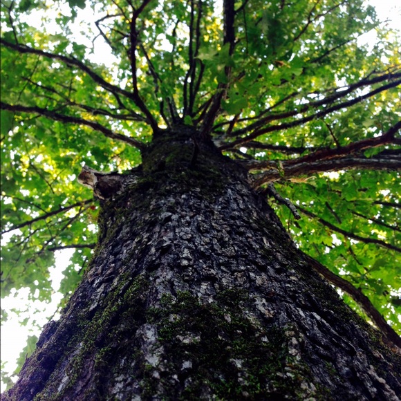 Meet your Posher, Kelsey - Picture 1 of 1