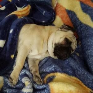 Meet your Posher, Cynthia