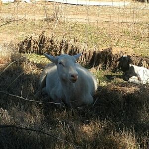 Meet your Posher, Tammy