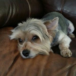 Meet your Posher, Becky