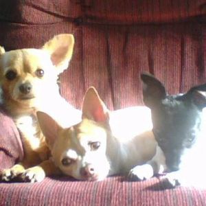 Meet your Posher, Wendy