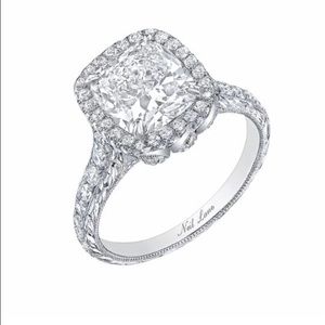 Meet your Posher, Hayatt