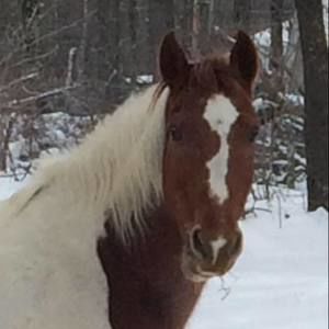 Meet your Posher, Patty