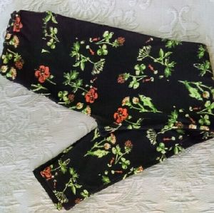 Lularoe OS Leggings