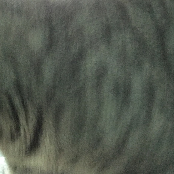 Takin all offers shipping all week. Have more on m