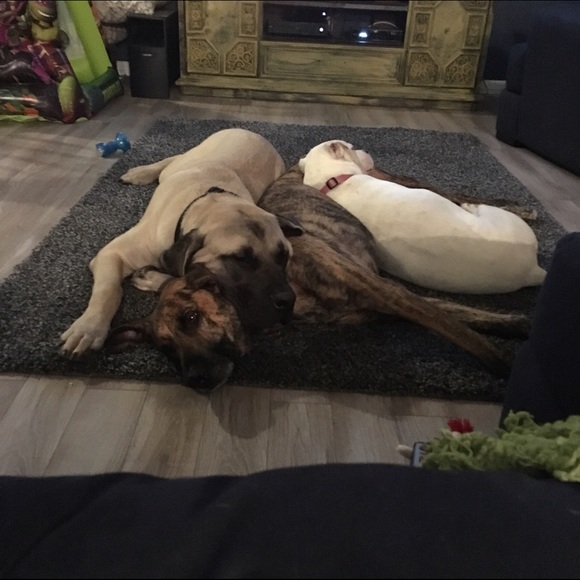 Meet your Posher, Mer - Picture 2 of 2