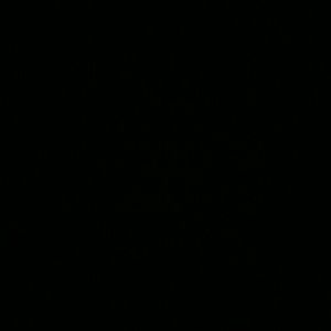 Meet your Posher, Lee sharon