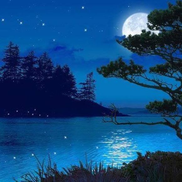 Meet your Posher, Ludgardis