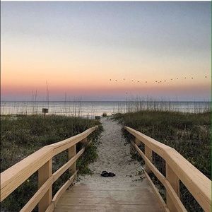 Meet your Posher, Dani