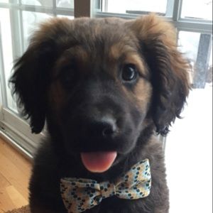 Meet your Posher, Rebecca