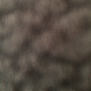 Meet your Posher, Tracey