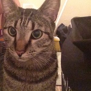 Meet your Posher, Natalia