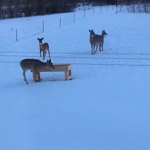 Meet your Posher, Edna