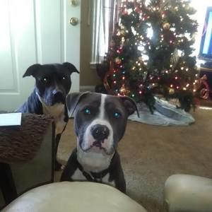 Meet your Posher, Tonya