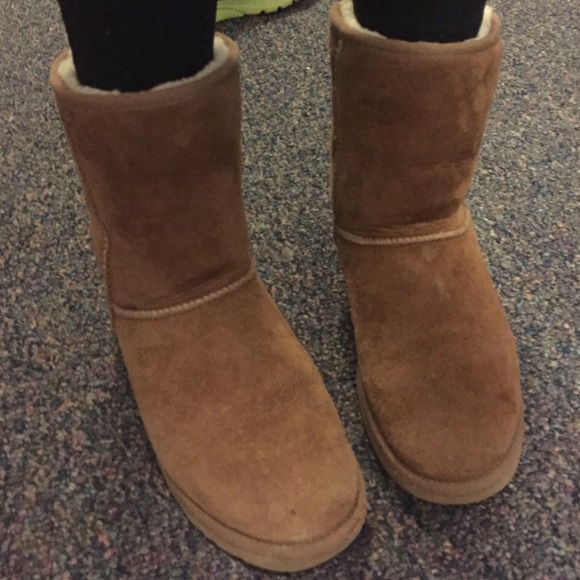 chesnut short uggs chesnut short uggs