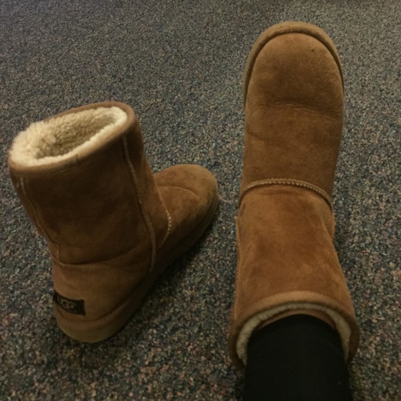 chesnut short uggs chesnut short uggs
