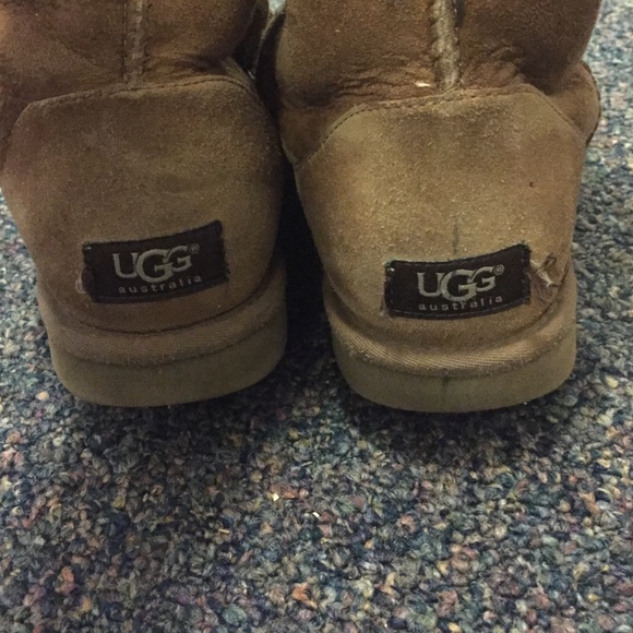 chesnut short uggs chesnut short uggs