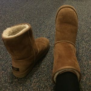 chesnut short uggs chesnut short uggs