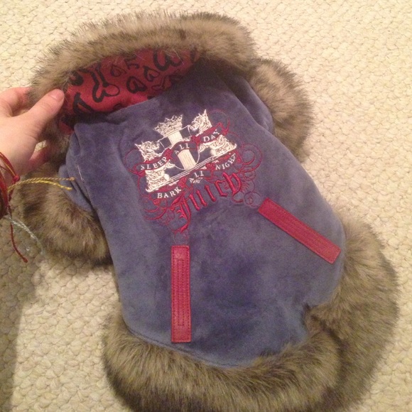 Juicy dog coat
