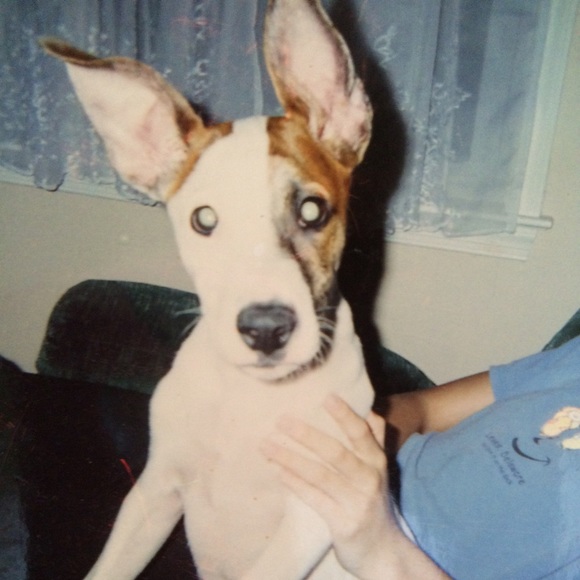 🎀 TOP 10% Seller, Mentor, Sharer, Ambassador! - Picture 5 of 9