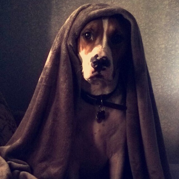 🎀 TOP 10% Seller, Mentor, Sharer, Ambassador! - Picture 6 of 9