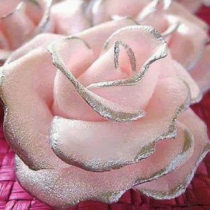 Meet your Posher, Rocio