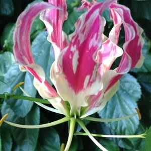 Meet your Posher, Paula