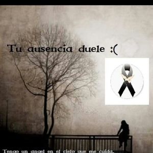 Meet your Posher, Alida