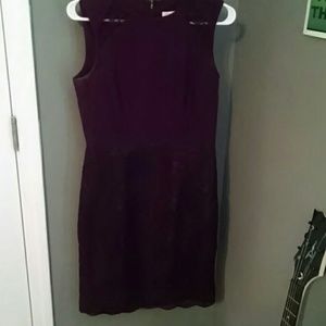 Calvin Klein sheath dress
