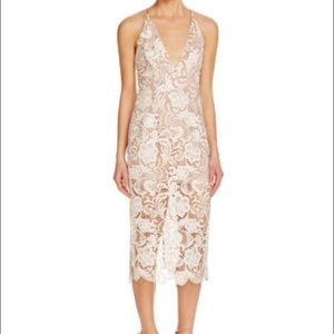 Dress the Population Marie lace midi dress